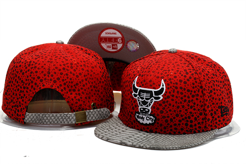 NBA Chicago Bulls NE Strapback Hat #50